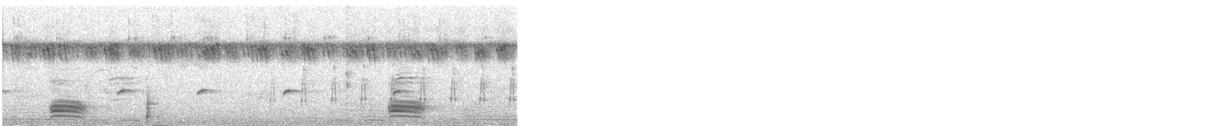 House Crow - ML511501201