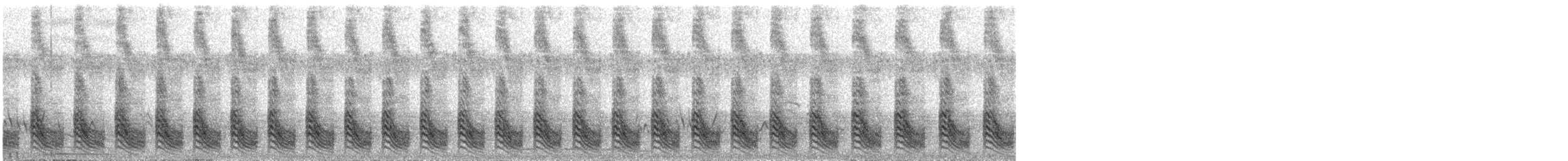 Scaly Babbler - ML511501681