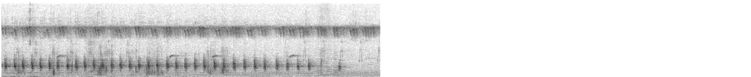 White-browed Coucal - ML511501701