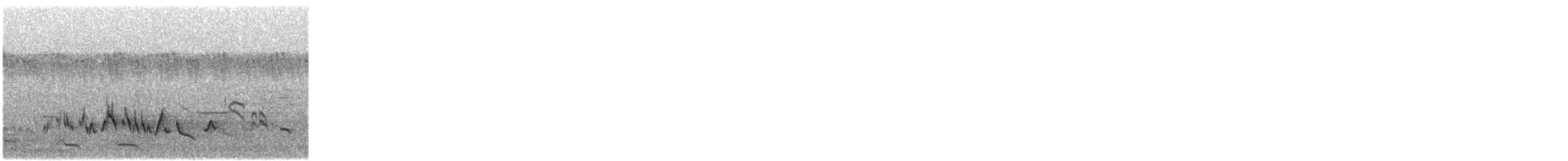 Sombre Greenbul - ML511501711