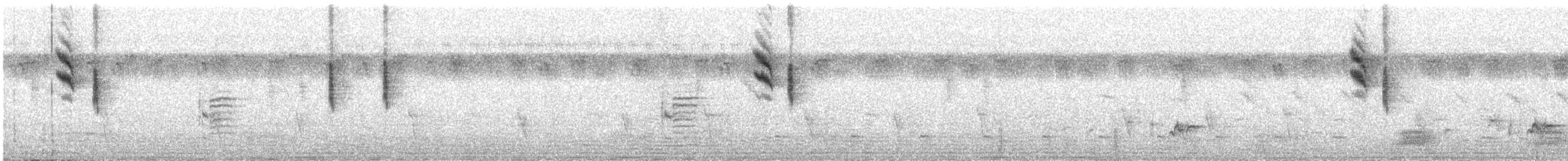 Spotted Flycatcher - ML511501721