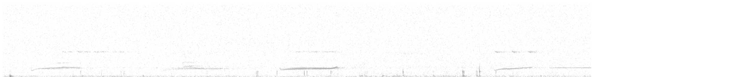 Bändernachtschwalbe (nattereri) - ML511510251