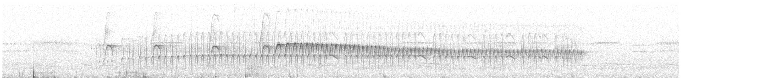 Élénie à tête grise - ML511512941