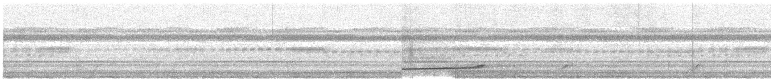 Least Pauraque - ML511556461