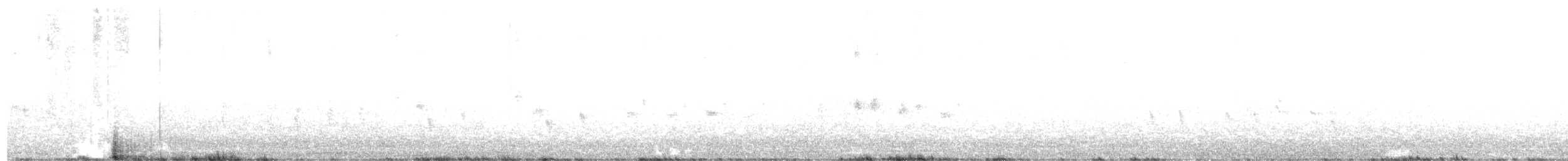 křivka obecná (ssp. balearica) - ML511576141