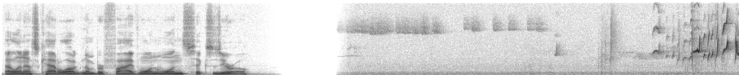 Empidonax sp. - ML51160