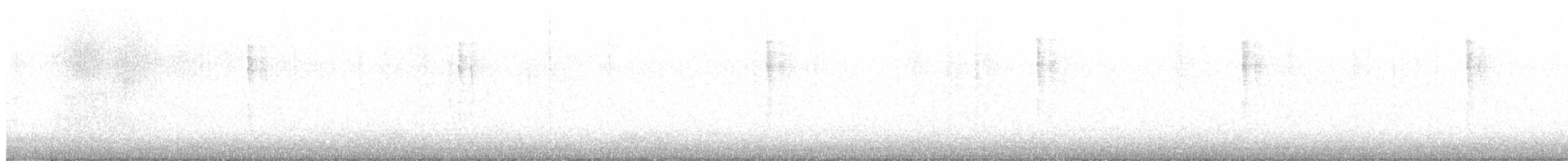 Troglodyte de Baird - ML511601011