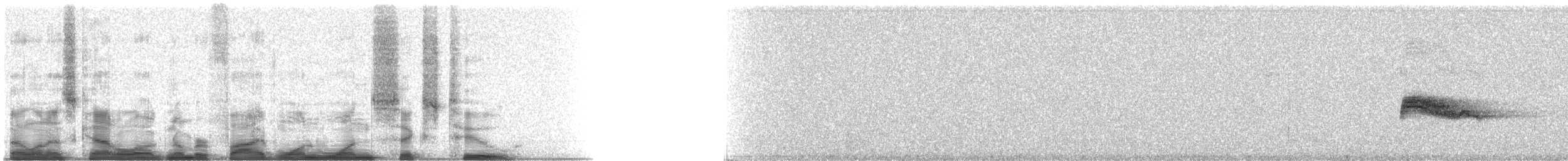 Western Wood-Pewee - ML51162