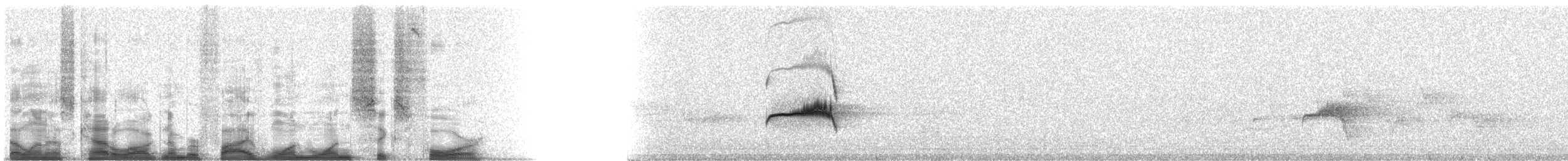 Western Wood-Pewee - ML51164