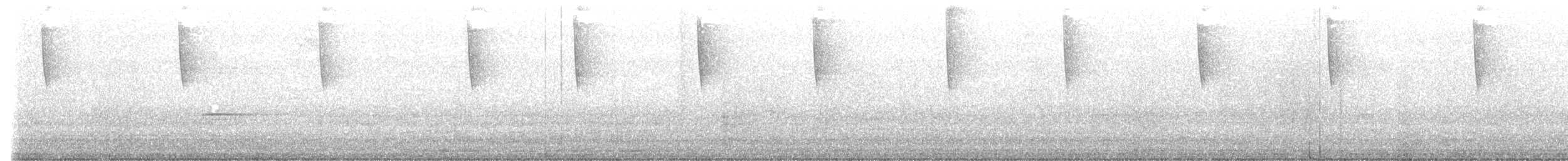 kolibřík bělokrký - ML511653081