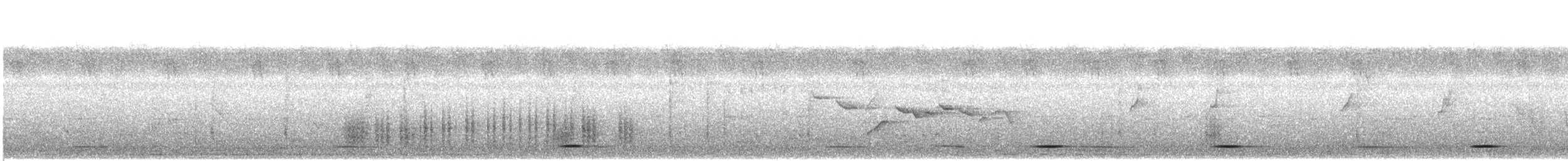 Занзибарский бубу - ML511666251