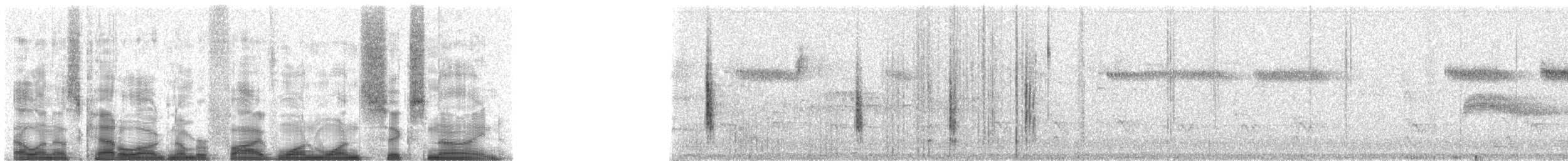 střízlík zahradní [skupina aedon] - ML51169