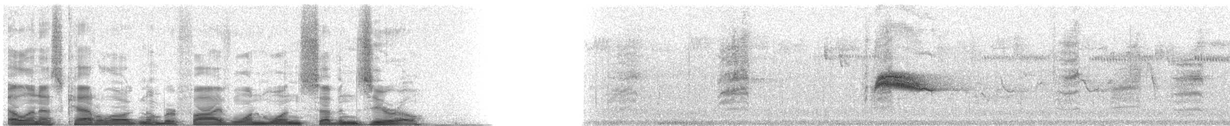 Western Wood-Pewee - ML51170