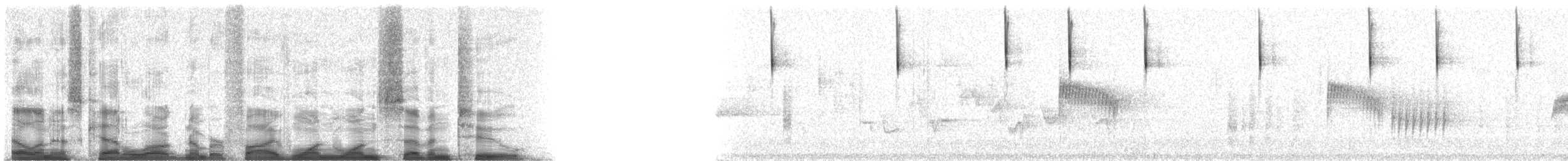 strnádka vrabcovitá - ML51172