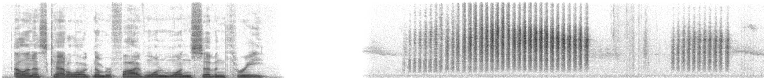 střízlík zahradní [skupina aedon] - ML51173