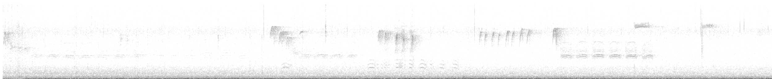 Weißbrustkleiber - ML511734571