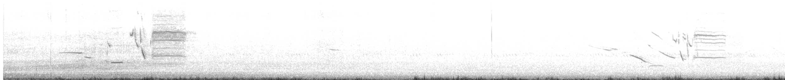 Weißschenkelstärling - ML511735621