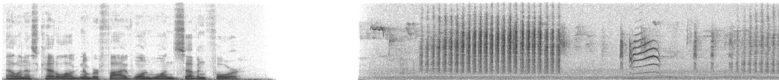 Green-tailed Towhee - ML51174