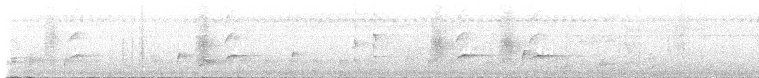 Ashy Drongo - ML511743821