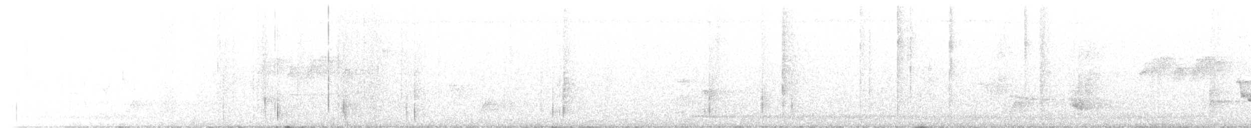 Bronzed Drongo - ML511743901