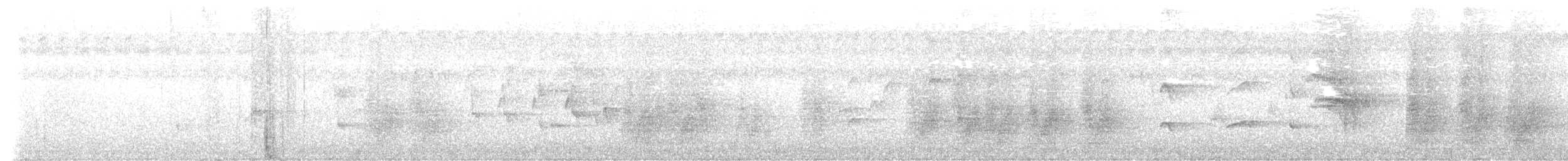 Bronzed Drongo - ML511743921