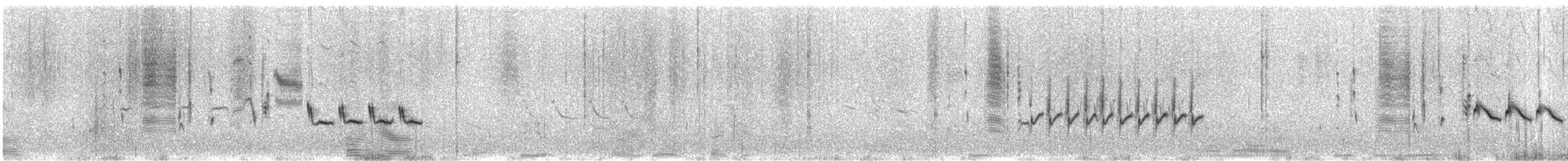 Grass Wren (Austral) - ML511757871