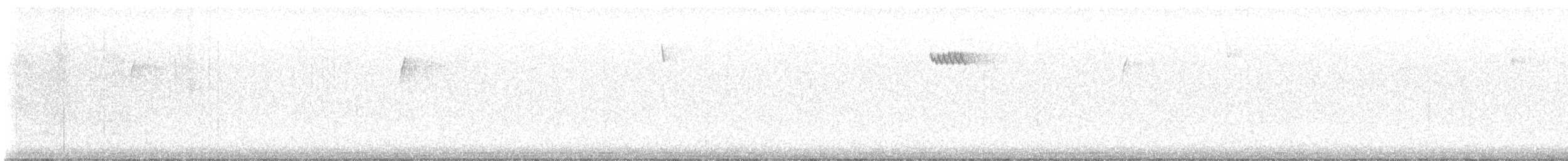 Brown Creeper - ML511787161
