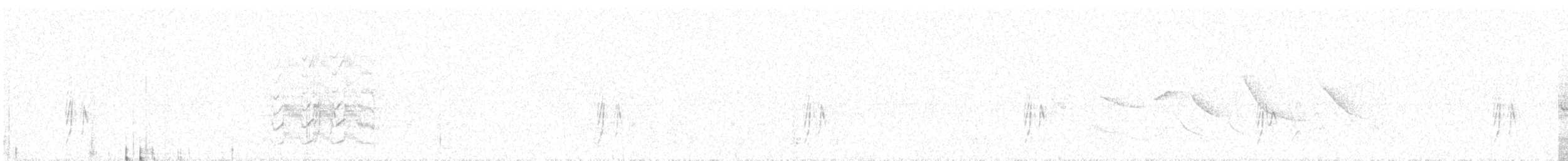 Челноклювый бентеви (pitangua) - ML511808581