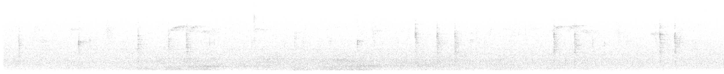 Каролинский крапивник - ML511857821