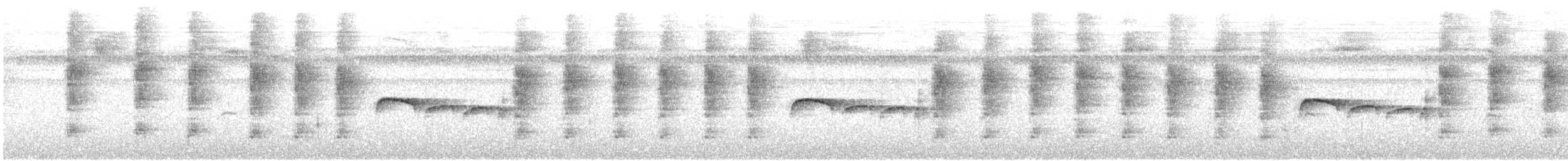Тиран-карлик буроголовий - ML511885341