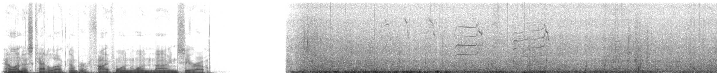 Petrel Cahow - ML51190