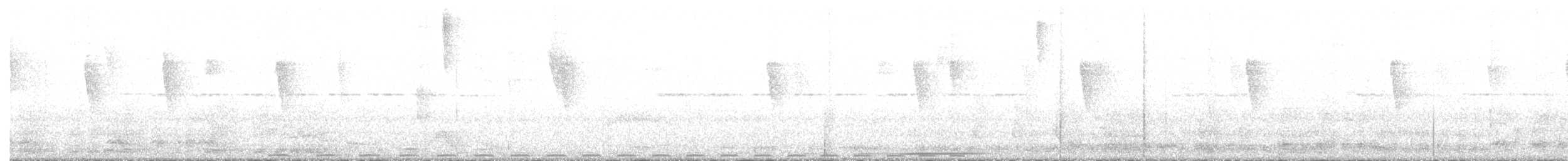 White-mantled Barbet - ML511924321