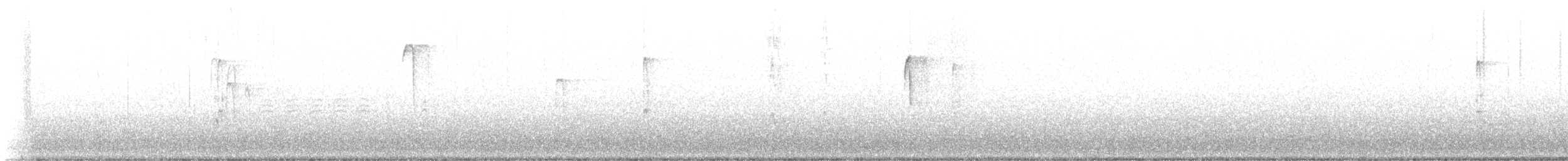 Hairy Woodpecker - ML511934181