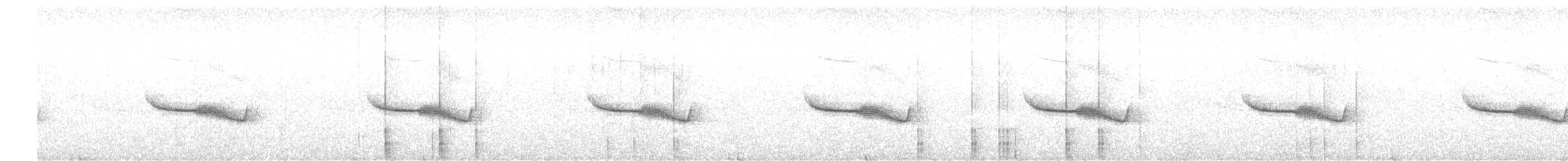 Breitspiegel-Nachtschwalbe (bifasciata/patagonica) - ML511935381