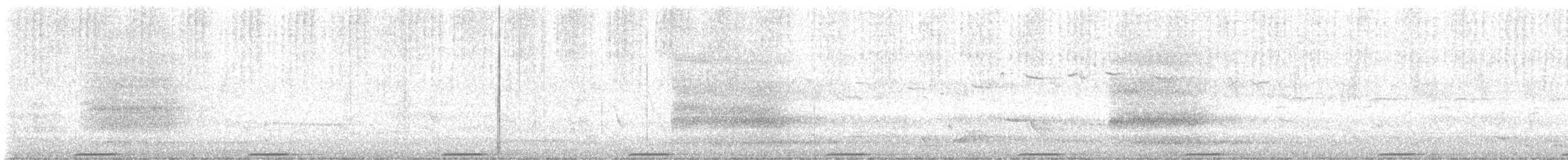 holub pestrokřídlý - ML511938511