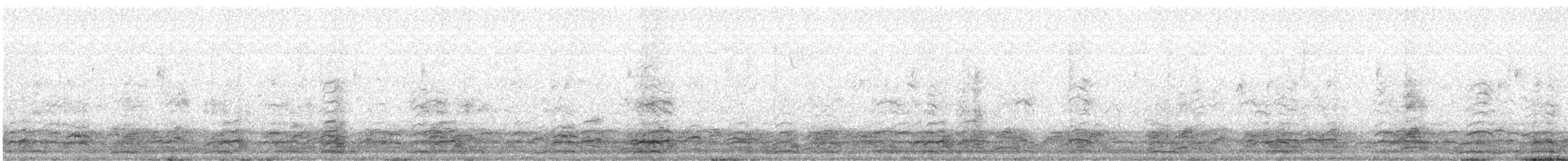 ハクガン - ML511960701