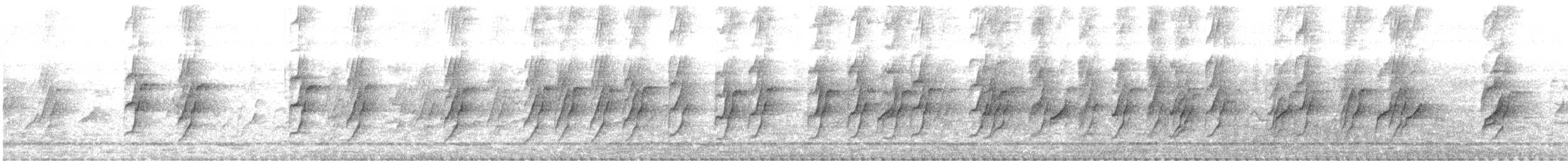 Plum-headed Parakeet - ML512034821