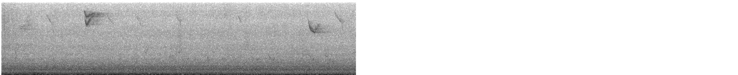 גיבתונית חומת-זנב - ML512142431