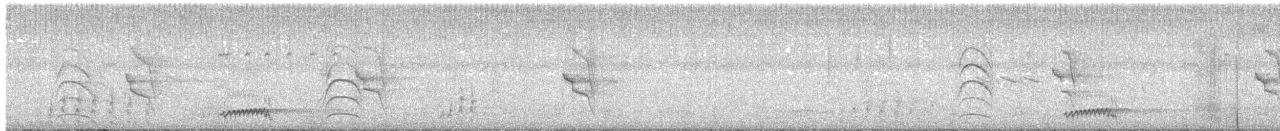 Дроздовая кукушка - ML512152431