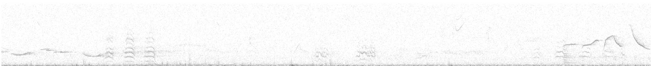 Маракана червоночеревий - ML512160021