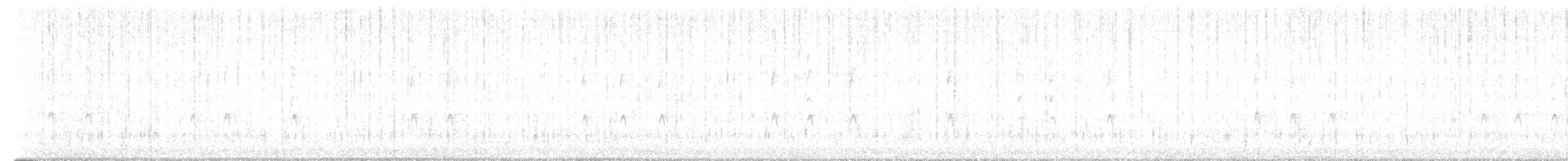 Winter Wren - ML512216651