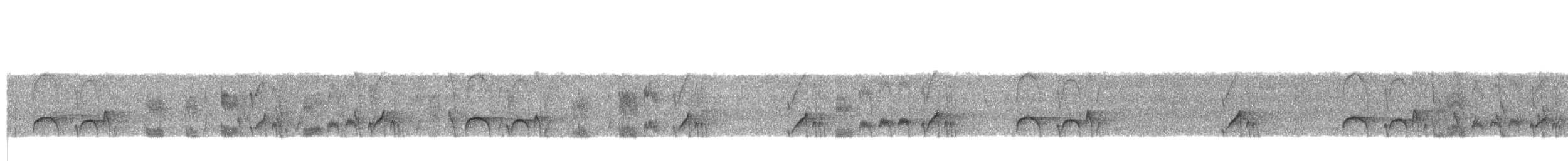 Тиран-крихітка темноголовий - ML512236611