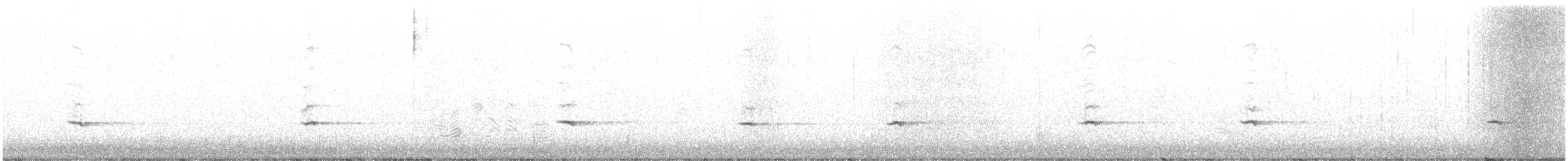 gråsolitærtrost - ML512271351