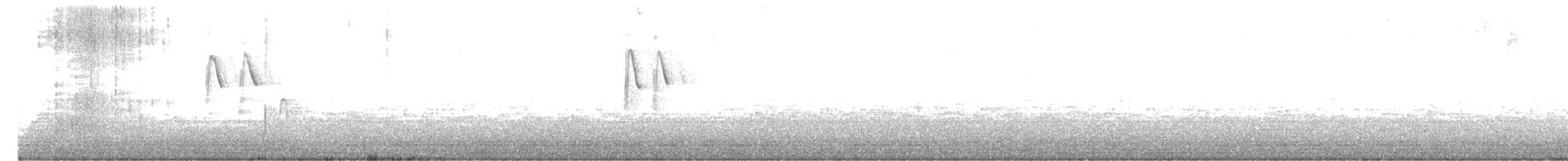 Атласная нектарница - ML512303881
