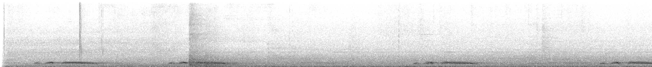 珠頸斑鳩(chinensis/tigrina) - ML512352631