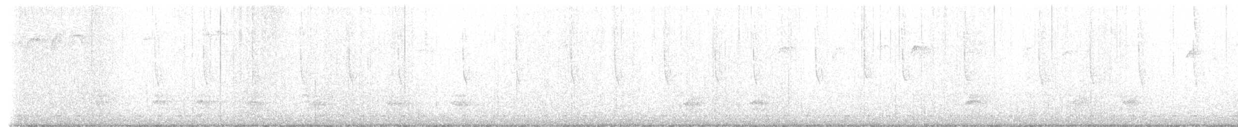 Широкохвостый колибри - ML512369621