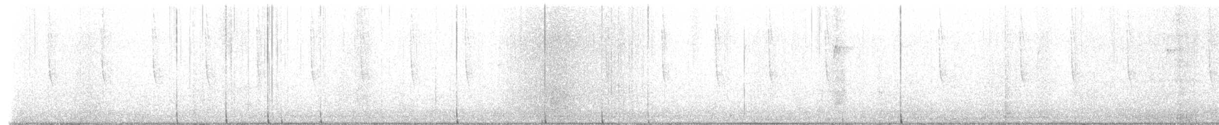 Geniş Kuyruklu Kolibri - ML512369631