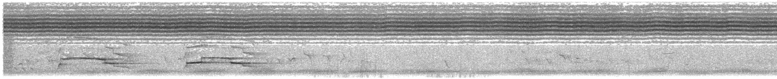 Балч гоорбис - ML512423361