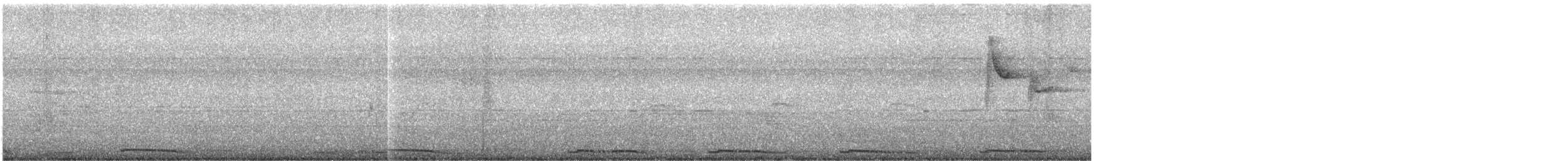 珠頸斑鳩 - ML512428041