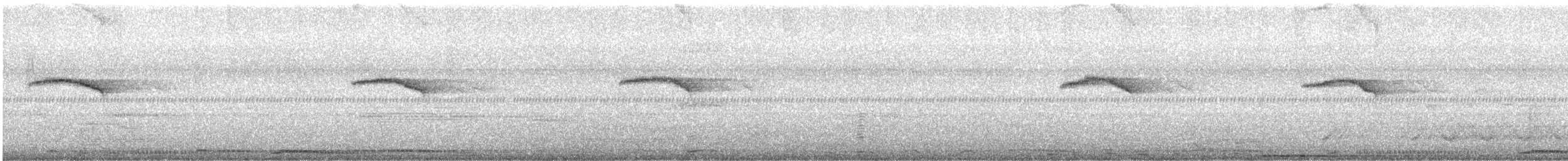 hrdlička kropenatá - ML512428071